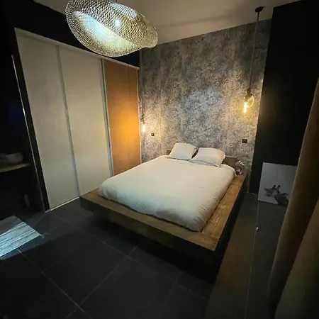 110m2 Terrasse Climatise Quartier Medieval * Clermont-Ferrand